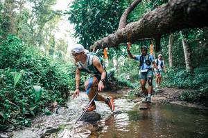 BIB: 
                            <button type="button" onclick="openModal(25368992)" class="btn btn-primary btn-sm float-right btn-popup" data-toggle="modal" data-target=".modal-high-quality">
                        <i class="fas fa-shopping-cart"></i> Add to Cart
                    </button>
                                            <button type="button" onclick="isThisMe(25368992, true)" class="btn btn-success btn-sm float-right btn-popup btn-isme hidden" data-toggle="tooltip" data-placement="bottom" title="นี่คือรูปของคุณใช่ไหม คลิกที่นี่เพื่อเอาเข้าอัลบั้ม">
                        <i class="fas fa-plus"></i> Add to album
                    </button>
                    <button type="button" onclick="isThisMe(25368992, false)" class="btn btn-warning btn-sm float-right btn-popup btn-isnotme hidden">
                        <i class="fas fa-ban"></i> Remove from album
                    </button>